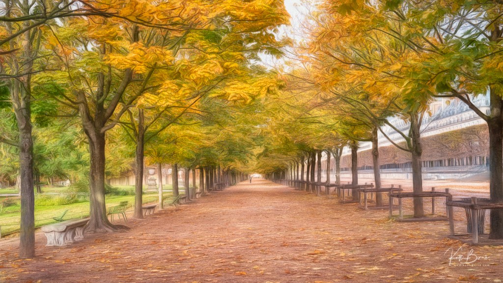 The Forest in Gold and&nbsp;Silence